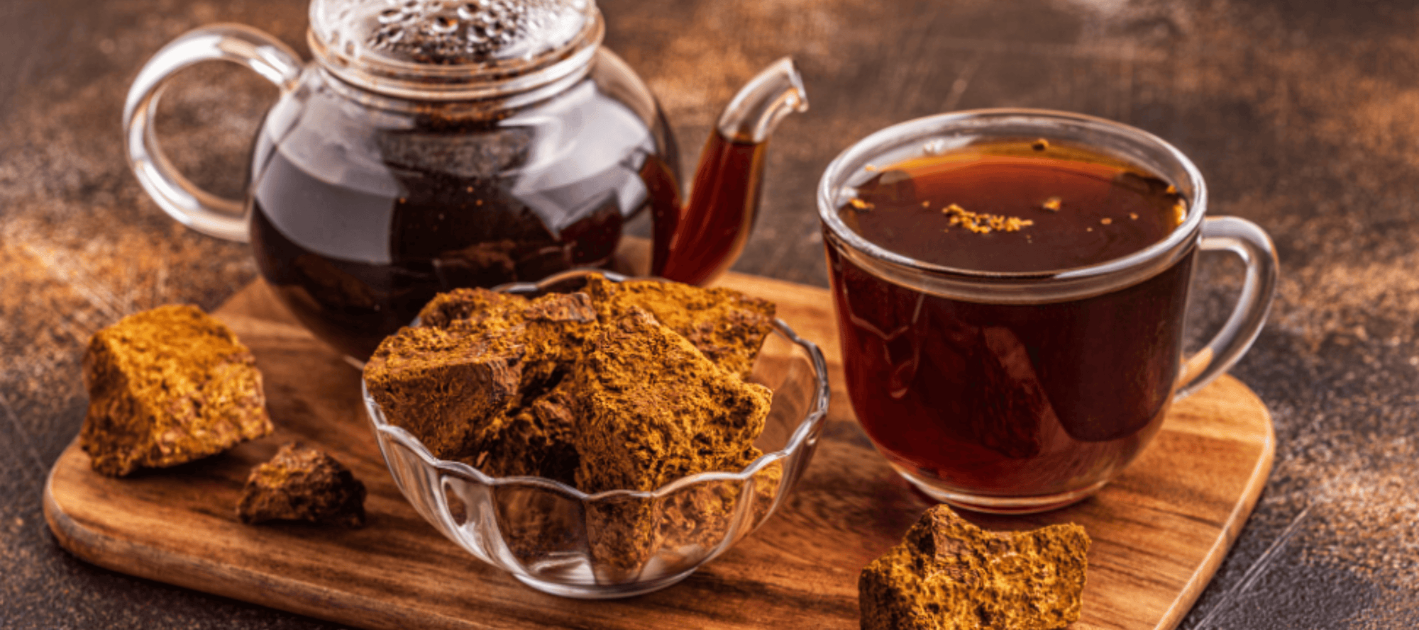 Chaga Mushroom: Nature's Hidden Gem - Merkaela Life