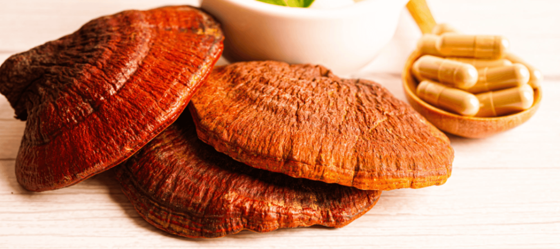 Reishi Mushroom: A Natural Treasure for Holistic Wellness - Merkaela Life