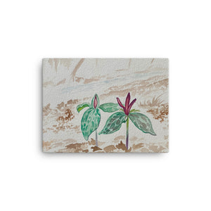 Wildflower Collection Canvas